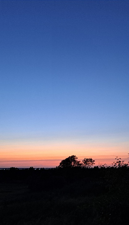 Dunkelblauer Himmel mit Sonnenuntergang am Horizont. Im Vordergrund schwarze Silhouette von Büschen. 