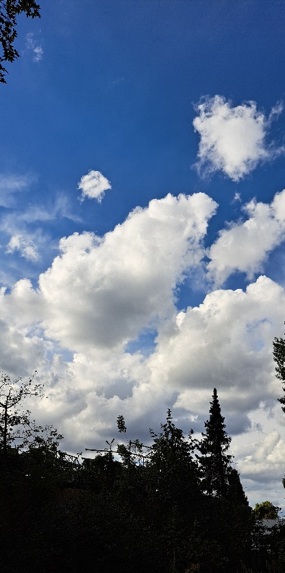 Blauer Himmel, weiße Wolken 