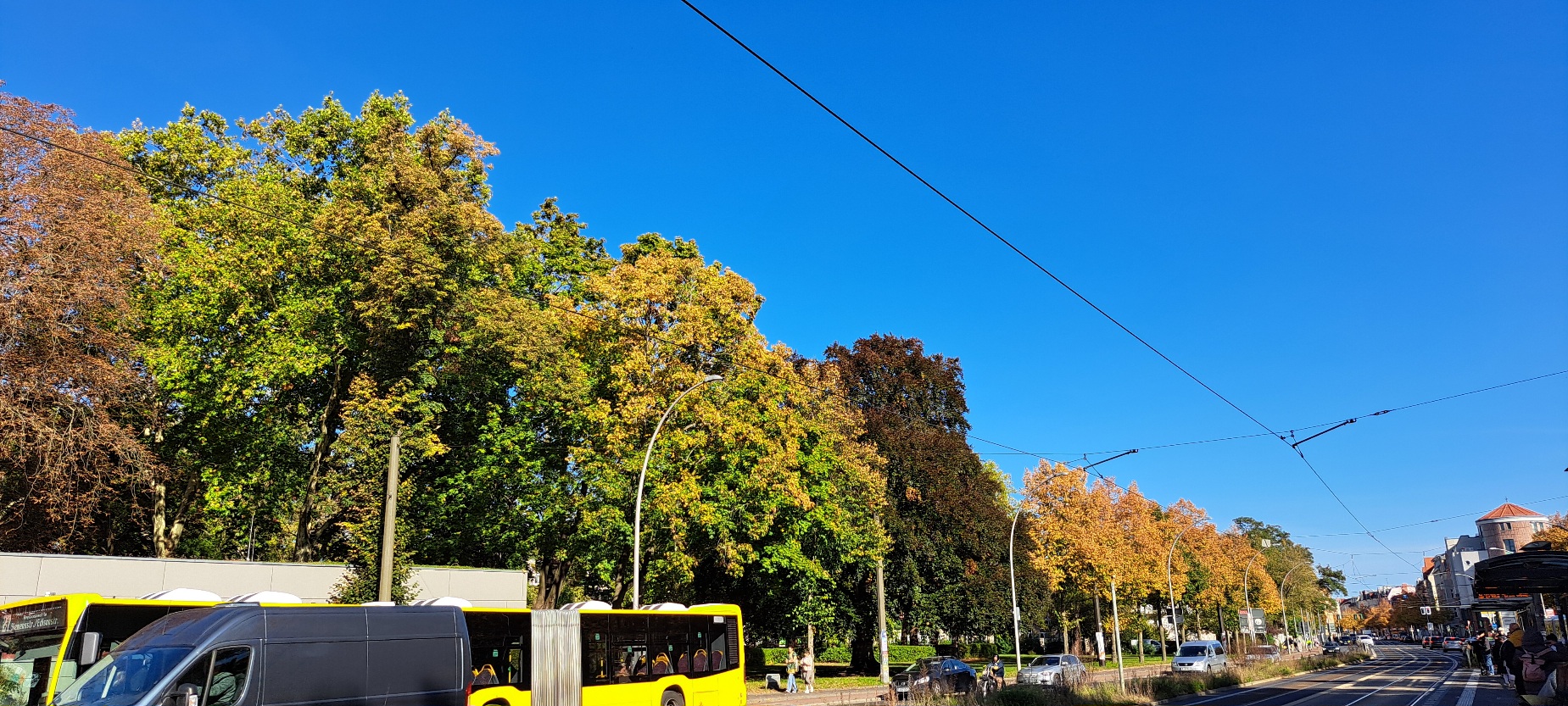 Laubbäume in bunt