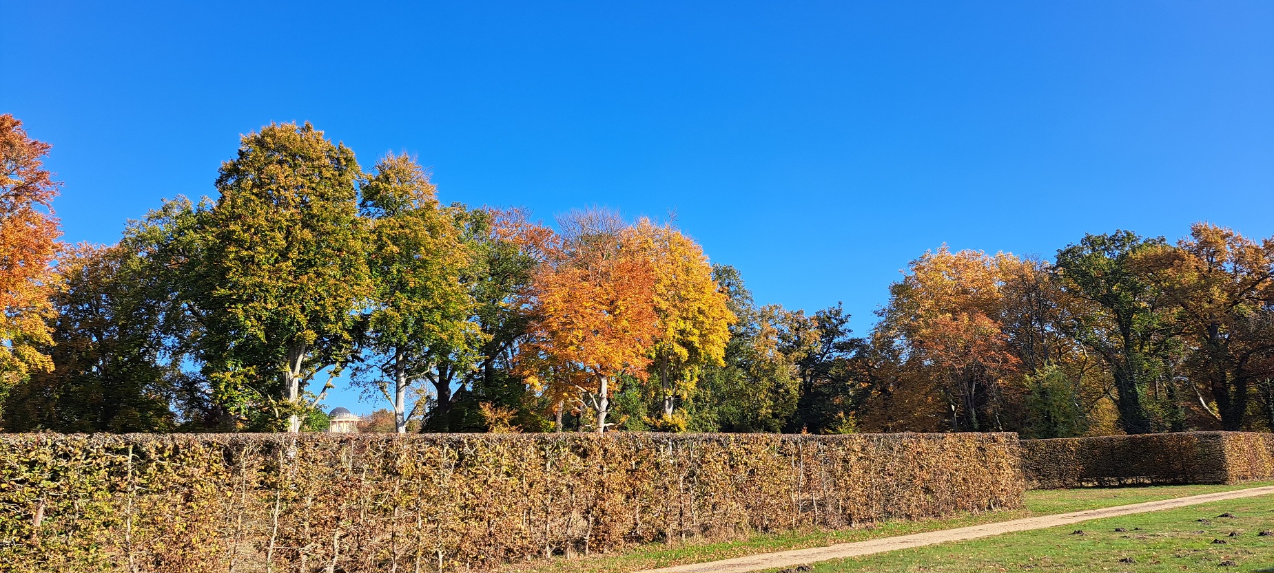 Bunt belaubte Herbstbäume, Schlosspark Potsdam