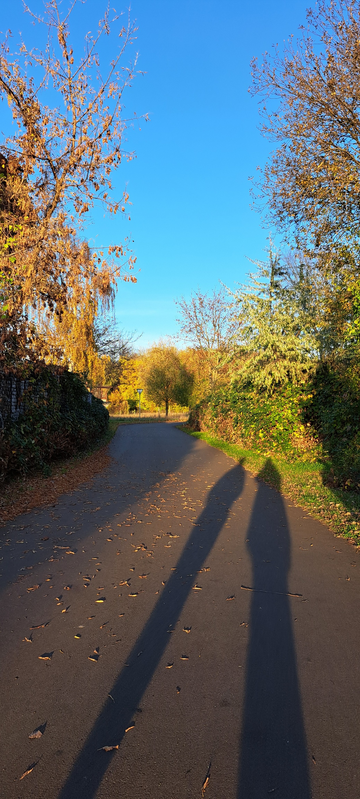 Spazierweg  Schatten 