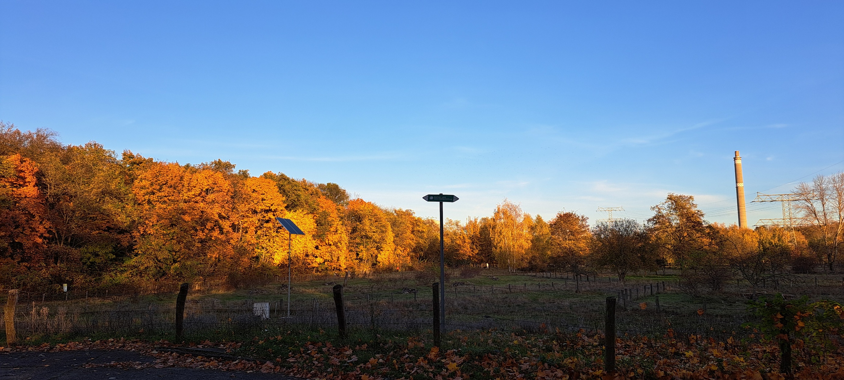 Park im Abendlicht