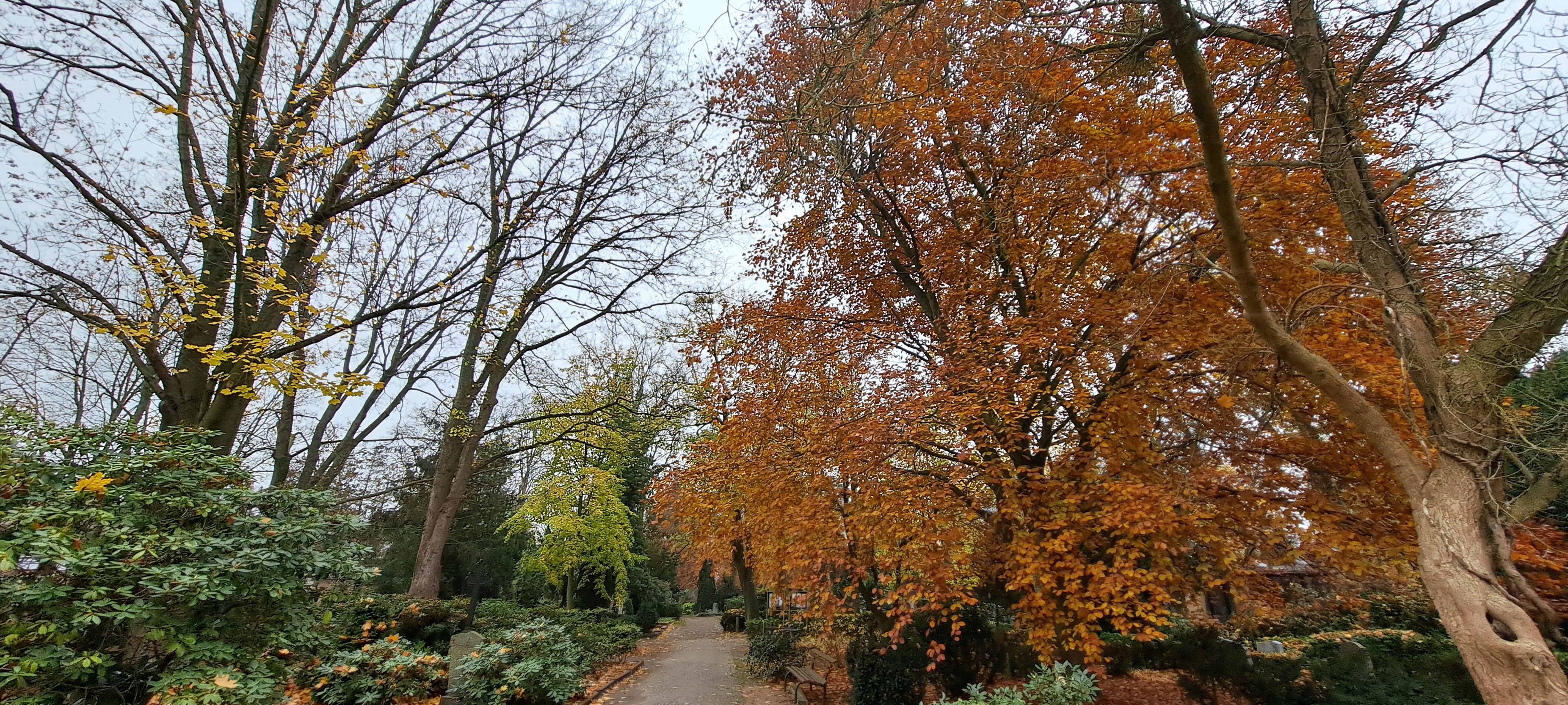 Herbstlaub auf einem Friedhof