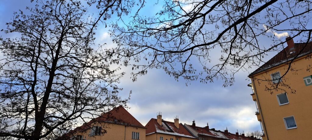 Winterhimmel, Bäume, Hausdächer