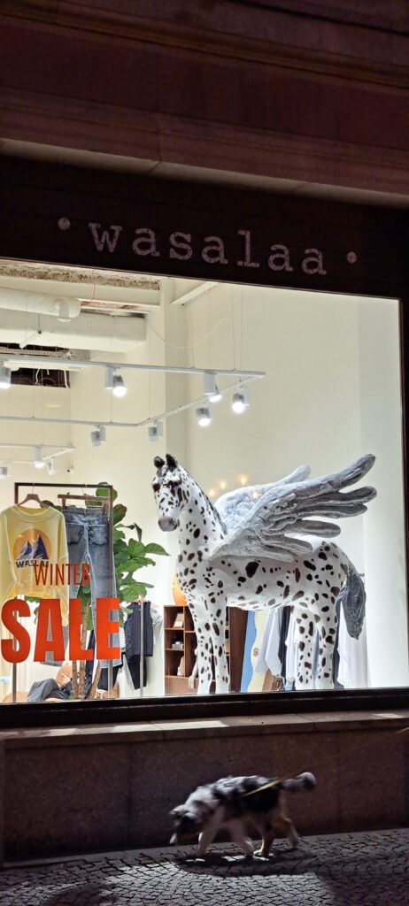 Pegasus im Schaufenster