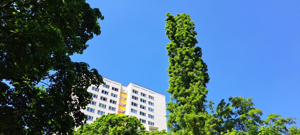 Hochhaus vor blauem Himmel, grünen Bäumen