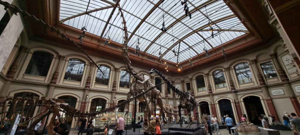 Eingangshalle mit Dinoskeletten