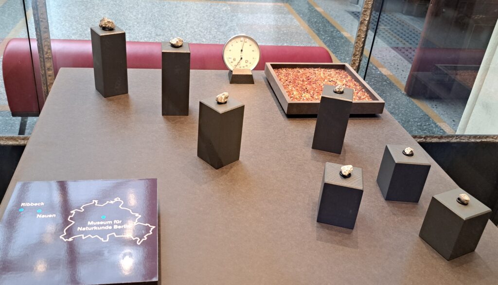Fundstücke des Ribbeck Meteoriten, die 2024 in Brandenburg gefunden wurden