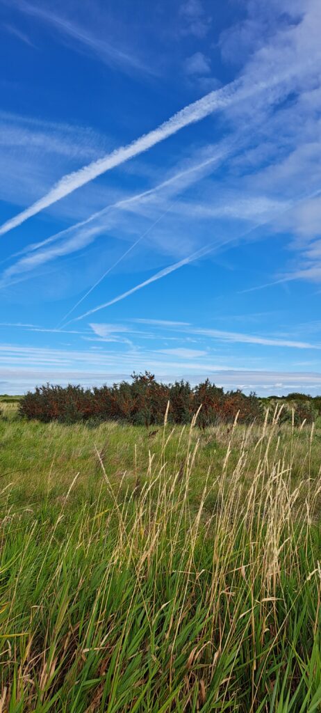 Düne mit Strandhafer, blauer Himmel mit Streifenwolken