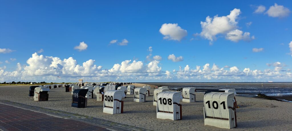 Strandkörbe von hinten mit großen Nummern darauf stehen am Strand