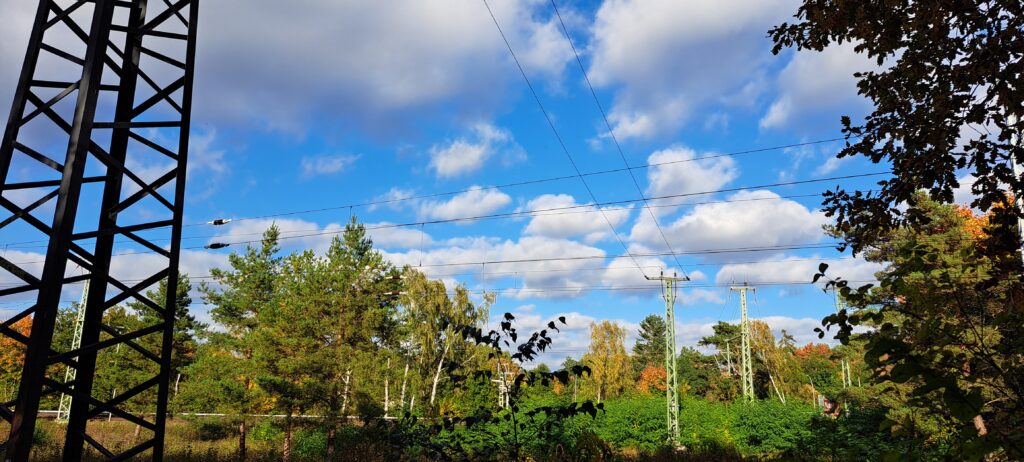 Strommasten und buntbelaubte Bäume