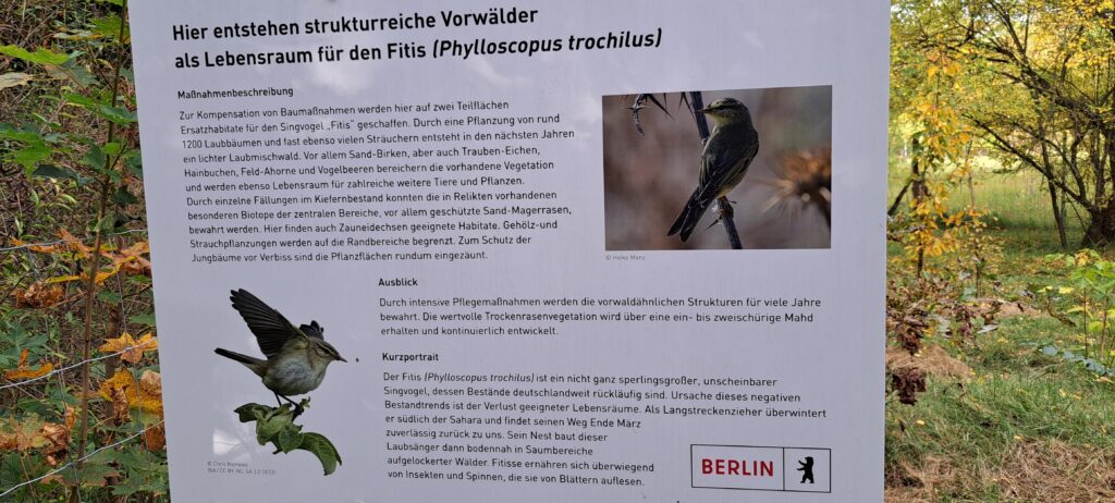 Hinweistafel zum Vogel Fitis