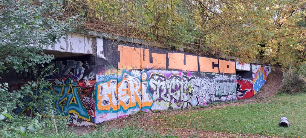 Graffiti an Unterführung im Wald