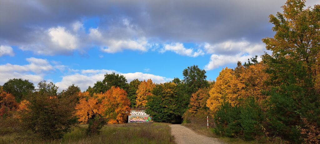 Bäume mit buntem Herbstlaub
