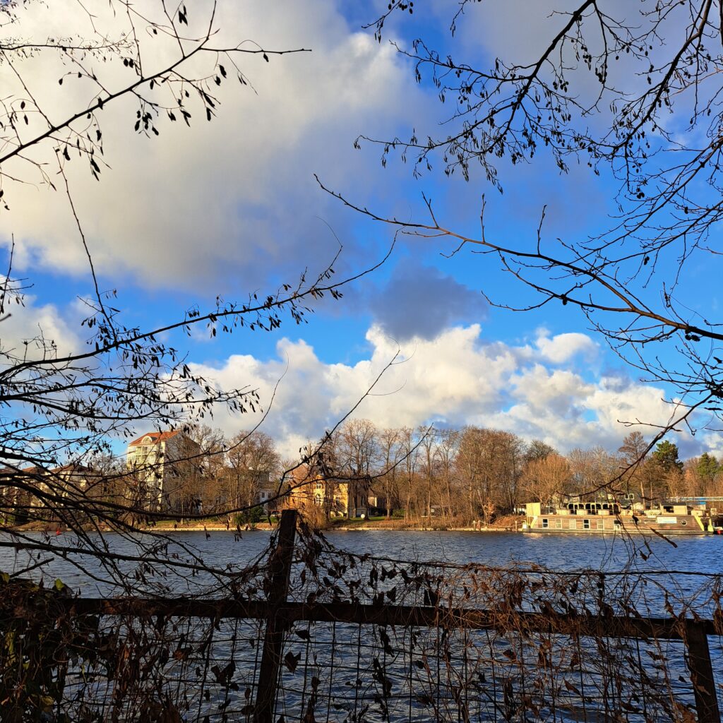Blick pber einen mit dünnen zweigen bewachsenen Zaun auf ein von Sonne beschienenes und golden wirkendes Ufer, dort braune kahle Bäume und Häuser, ein Boot ankert am Ufer. blauer Himmel mit weißen und grauen bauschigen Wolken