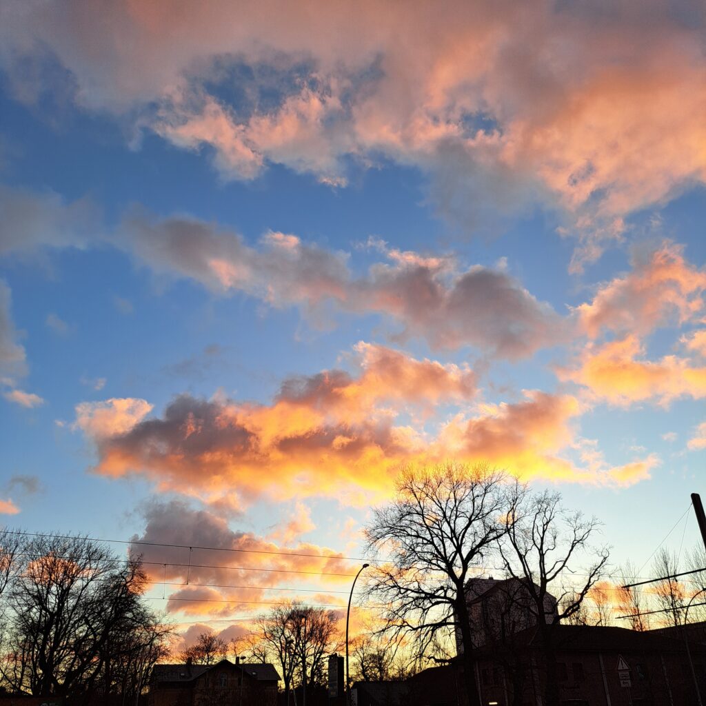 vorne schwarze Silhouetten von kahlen Bäumen, Häusern, Straßenlaterne, blauer Himmel davor orange glühende Wolkenfetzen 