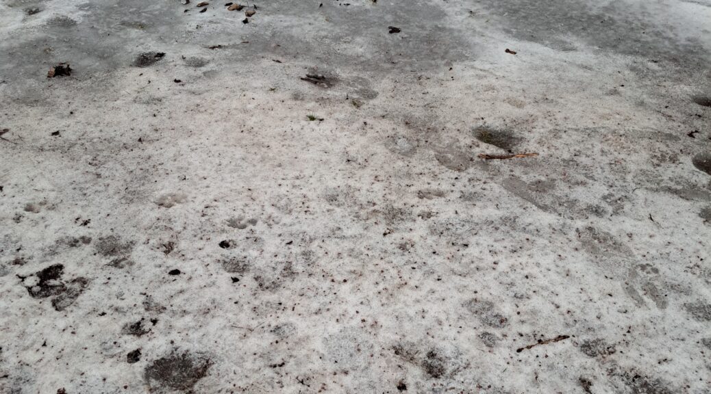 Gefrorenes Eis Matsch Schnee Gemisch