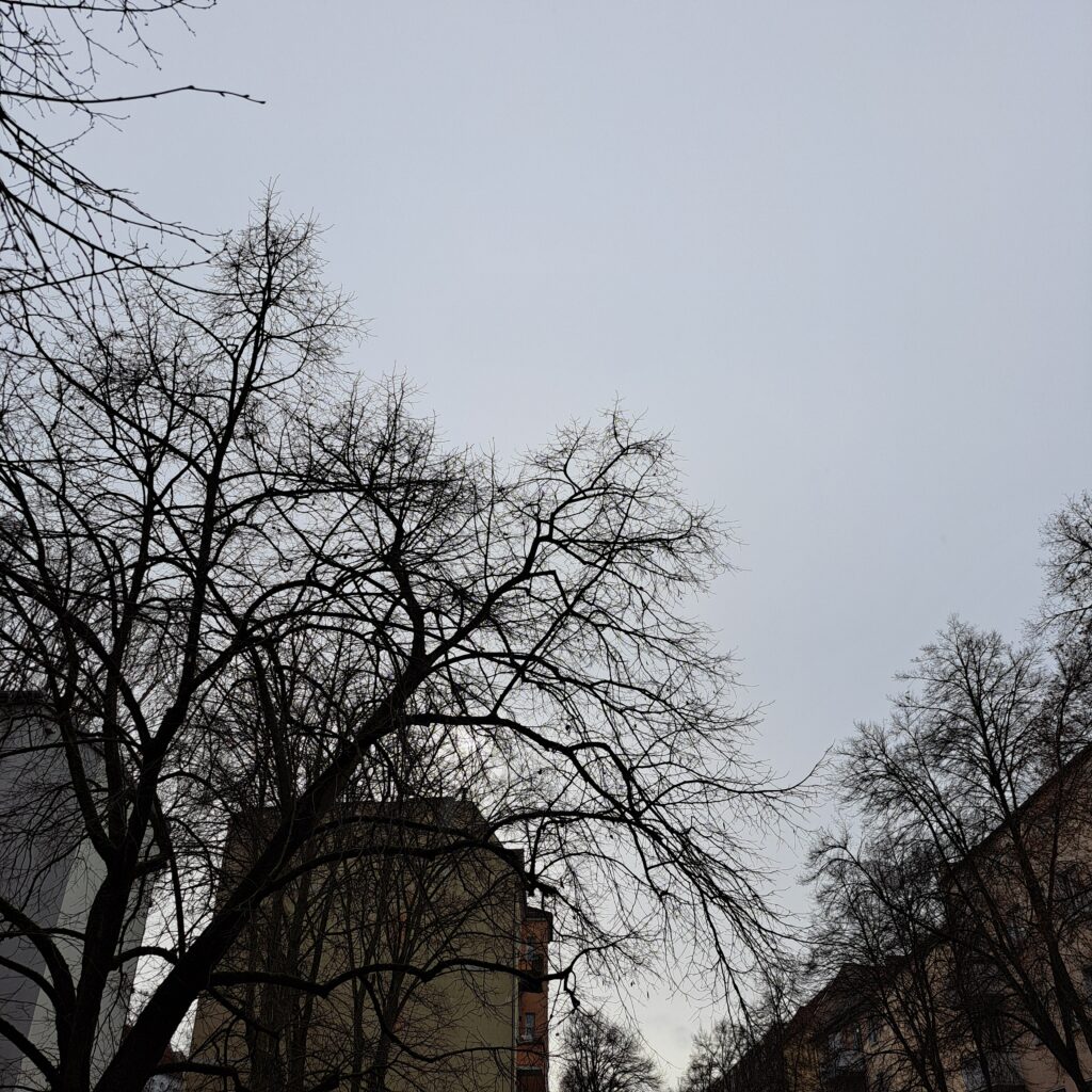 Wolkiger Himmel, kahle Bäume und eine Haussilhouette